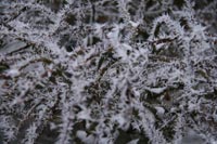 Winter2010-0-09_00