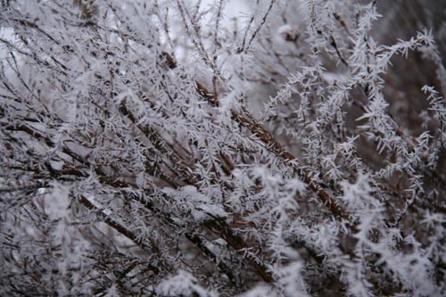 Winter2010-0-09_34