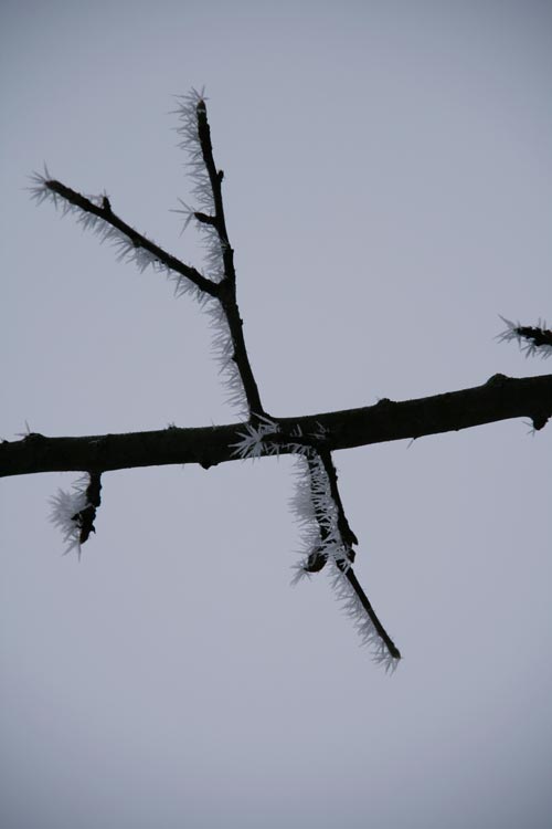 Winter2010-0-09_36