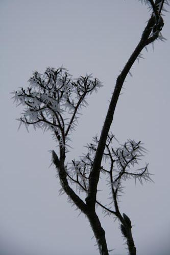 Winter2010-0-09_39