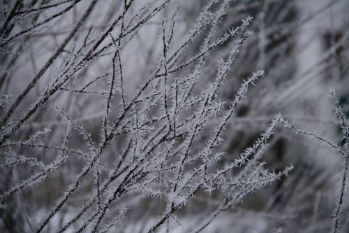 Winter2010-0-09_41