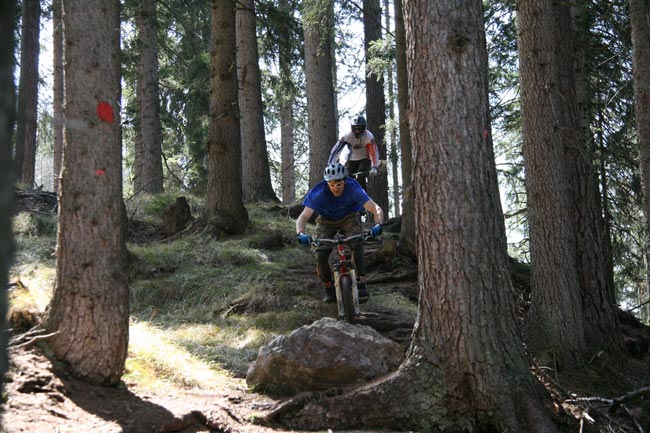 GruenbergMTB2010_08