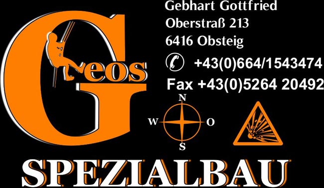 Logo-Geos2010