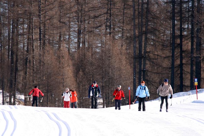 Langlaufen2011-01-30_2