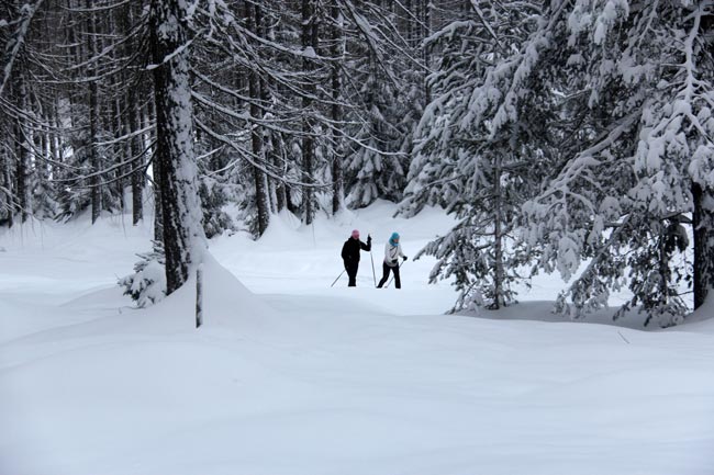 Langlauf2011-12-30_2