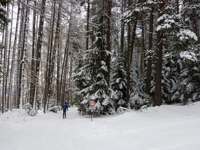 Hallersteig2012-01-28_01