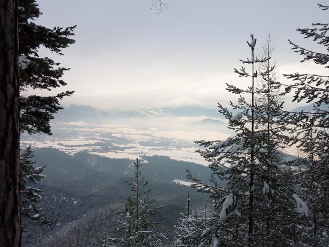 Hallersteig2012-01-28_13