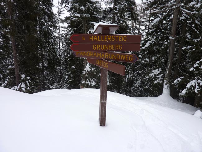 Hallersteig2012-01-28_22