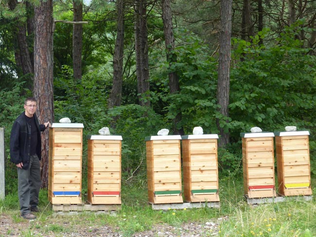 BienenKneringer2010-08-08 2