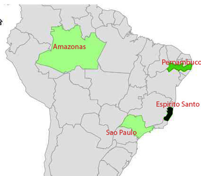 Brasilien-auf-ObsteigAktuell2012-11-27