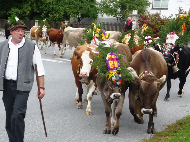 almabtrieb marienberg01