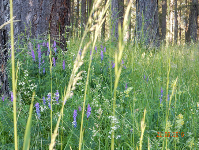 Kapellenwanderung2016 04