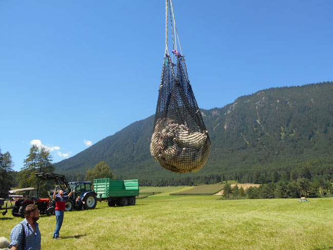 SchafeBergung2016-08-08_15PartnerE